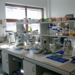 Laboratorium-biologia-molekularna